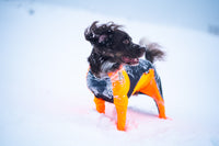 Non-Stop Dogwear Protector Snow